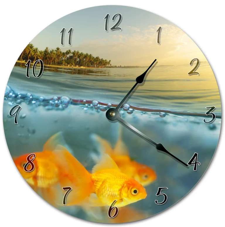 il_fullxfull.1292319987_csoo